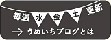 うめいちブログとは