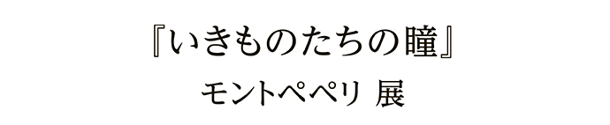 『いきものたちの瞳』 モントペペリ 展