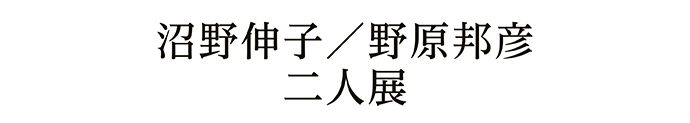 沼野伸子／野原邦彦 二人展