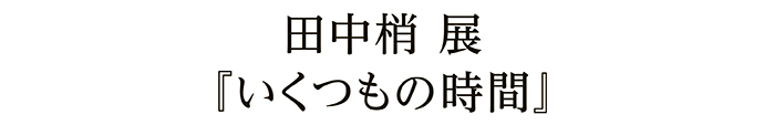 田中梢 展『いくつもの時間』