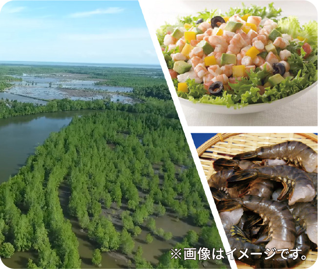 ※画像はイメージです。