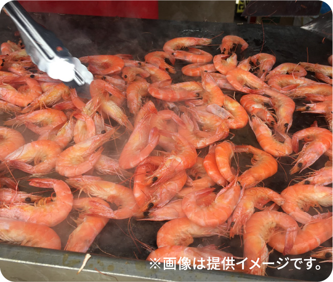 ※画像は提供イメージです。