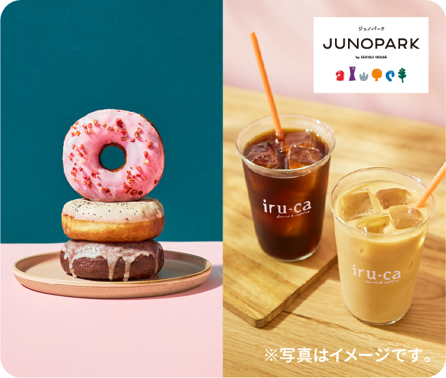 ※写真はイメージです。