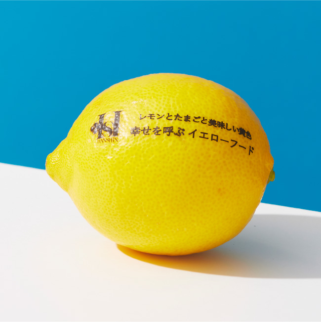 プロテインフードの世界