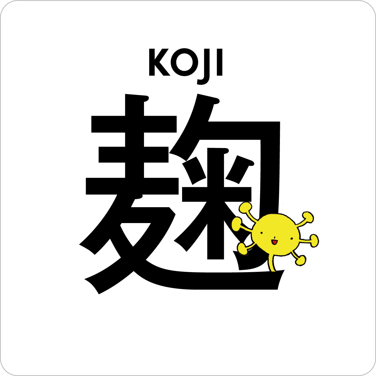 KOJI 麹